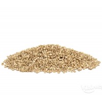 Био Киноа